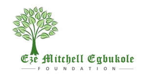 Eze Mitchell Egbukole Foundation